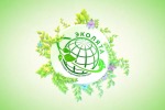 Всероссийский фестиваль «Праздник эколят — молодых защитников природы»