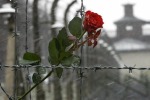 Память о Холокосте - путь к толерантности